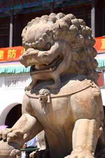 photo,material,free,landscape,picture,stock photo,Creative Commons,A PutuoZongchengTemple pair of stone guardian dogs, Tibet, Chaitya, tusk, lion