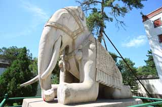 Foto, materiell, befreit, Landschaft, Bild, hat Foto auf Lager,Ein PutuoZongchengTemple Elefantenbild, Tibet, Chaitya, Ich bin herrlich, Elefant