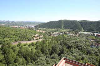 foto,tela,gratis,paisaje,fotografa,idea,Putuo Zongcheng templo, Tibet, Chaitya, Fe, Bosque