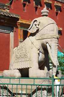 photo, la matire, libre, amnage, dcrivez, photo de la rserve,Une image d'lphant XumiFushouTemple, Un lphant, , monument, Bouddhisme tibtain