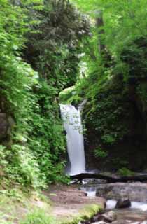 Foto, materieel, vrij, landschap, schilderstuk, bevoorraden foto,Ryugaeshi waterfall, Waterval, Rivier, Inschrijving groen, 