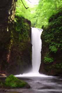 Foto, materieel, vrij, landschap, schilderstuk, bevoorraden foto,Ryugaeshi waterfall, Waterval, Rivier, Inschrijving groen, 