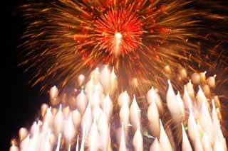 photo,material,free,landscape,picture,stock photo,Creative Commons,Tama River Fireworks Display, Launching fireworks, natural scene or object which adds poetic charm to the season of the summer, Signal fire, Brightness