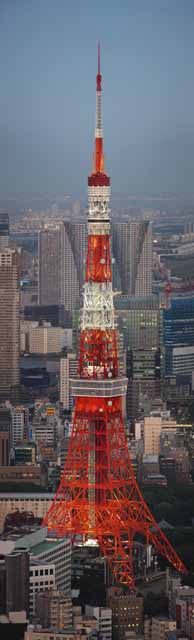 Foto, materieel, vrij, landschap, schilderstuk, bevoorraden foto,Tokio Toren, Tokio Toren, Gebouw groep, De benedenstad wijk, Rode en blanke
