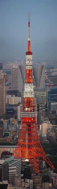 Foto, materiell, befreit, Landschaft, Bild, hat Foto auf Lager,Tokyo-Turm, Tokyo-Turm, Das Bauen von Gruppe, Das Stadtzentrumsgebiet, Rot und wei