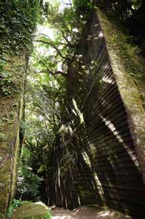 photo, la matire, libre, amnage, dcrivez, photo de la rserve,Mt. vu stonepit, Je l'ai coup, stonepit, carrire, L'ombre d'un arbre