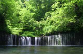 fotografia, materiale, libero il panorama, dipinga, fotografia di scorta,Shiraito-nessuno-taki, cascata, ruscello, verde tenero, fiume