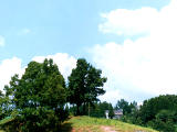 photo,material,free,landscape,picture,stock photo,Creative Commons,A natural hilltop, hill, sky, cloud, trees