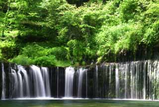 Foto, materieel, vrij, landschap, schilderstuk, bevoorraden foto,Shiraito niet-taki, Waterval, Kreek, Inschrijving groen, Rivier