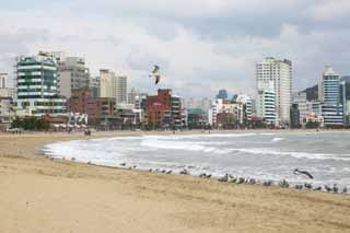 Foto, materiell, befreit, Landschaft, Bild, hat Foto auf Lager,Pusan Guangan-Dorf, Welle, sandiger Strand, Gebude, Das Meer