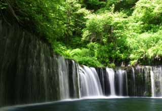 photo, la matire, libre, amnage, dcrivez, photo de la rserve,Shiraito-aucun-taki, chute d'eau, ruisseau, vert tendre, rivire