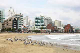 fotografia, materiale, libero il panorama, dipinga, fotografia di scorta,Pusan Guangan il villaggio, onda, spiaggia sabbiosa, costruendo, Il mare