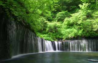 photo, la matire, libre, amnage, dcrivez, photo de la rserve,Shiraito-aucun-taki, chute d'eau, ruisseau, vert tendre, rivire