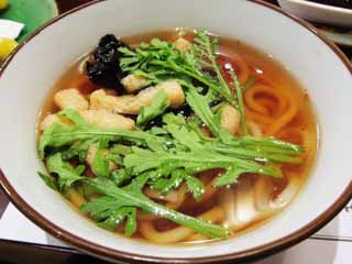 ,,, ,,,Udon.,   .,  .,    ., Udon.