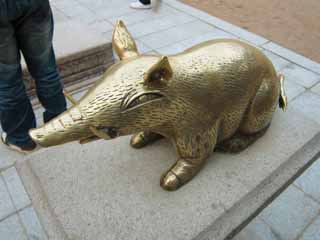 photo,material,free,landscape,picture,stock photo,Creative Commons,A Buddha's land temple wild boar image, bronze statue, wild boar, , The Land of Happiness