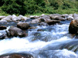 Foto, materiell, befreit, Landschaft, Bild, hat Foto auf Lager,Das Murmeln von einem Strom, schumendes Wasser, Stromschnellen, Strom, 