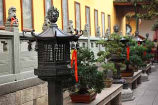 fotografia, material, livra, ajardine, imagine, proveja fotografia,Um templo de bola, Chaitya, ajardine lanterna, bonsai, Faith