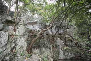 photo,material,free,landscape,picture,stock photo,Creative Commons,A HangzhouLingyingTemple image of Buddha inscribed on the polished cliff, Buddhism, Ishibotoke, Buddhist image, Faith