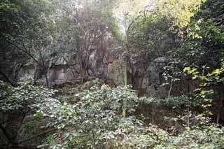 photo,material,free,landscape,picture,stock photo,Creative Commons,A HangzhouLingyingTemple image of Buddha inscribed on the polished cliff, Buddhism, Ishibotoke, Buddhist image, Faith