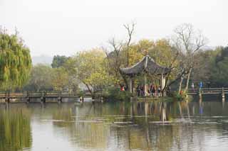 photo, la matire, libre, amnage, dcrivez, photo de la rserve,Trois mirroring de piscines la lune, Un arbre, Saiko, surface d'un lac, monument