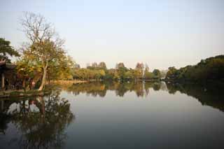 photo, la matire, libre, amnage, dcrivez, photo de la rserve,Trois mirroring de piscines la lune, Un arbre, Saiko, surface d'un lac,  noir