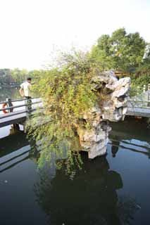 fotografia, materiale, libero il panorama, dipinga, fotografia di scorta,Tre specchiamento di piscine la luna, giardino, Saiko, superficie di un lago, Nove pezzi Fanno un ponte su