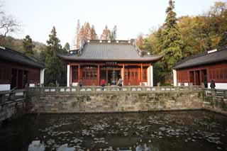 fotografia, material, livra, ajardine, imagine, proveja fotografia,Yue Fei templo, , Saiko, lagoa, lrio-d'gua