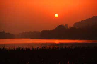 photo, la matire, libre, amnage, dcrivez, photo de la rserve,Crpuscule du Xi-hu lac, lotus, Le soleil, Mettant soleil, La surface de l'eau