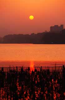 foto,tela,gratis,paisaje,fotografa,idea,Anochecer del lago de Xi - hu, , El sol, Sol poniente, La superficie del agua