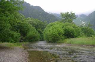 photo,material,free,landscape,picture,stock photo,Creative Commons,Stream and trees, river, tree, water, mountain