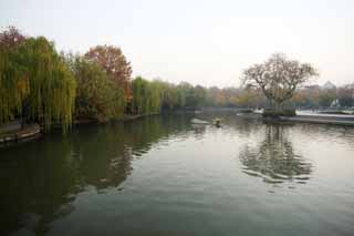 fotografia, materiale, libero il panorama, dipinga, fotografia di scorta,Xi-hu il lago, Un oggetto di arte, Saiko, salice, 