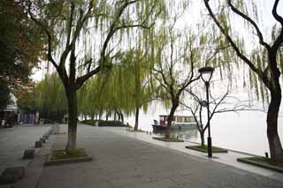 photo,material,free,landscape,picture,stock photo,Creative Commons,Xi-hu lake, surface of a lake, Saiko, willow, 