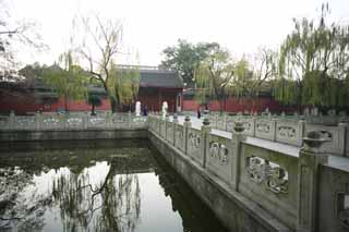 photo,material,free,landscape,picture,stock photo,Creative Commons,A money king small shrine, Chinese shadow boxing, Saiko, willow, pond