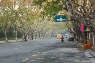 foto,tela,gratis,paisaje,fotografa,idea,Hilera de casas a lo largo de una calle de ciudad de Hangzhou, rbol de avin, Camino, Automvil, Calle