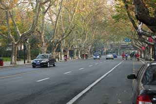 fotografia, material, livra, ajardine, imagine, proveja fotografia,Fila de casas ao longo de uma rua de cidade de Hangzhou, rvore plana, estrada, carro, rua