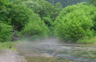 foto,tela,gratis,paisaje,fotografa,idea,Estela de humo sobre el ro., Ro, rbol, Agua, 