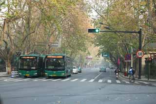 Foto, materieel, vrij, landschap, schilderstuk, bevoorraden foto,Rij van huizen mee een stad straat van Hangzhou, Schaaf boom, Straat, Auto, 