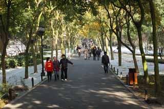 fotografia, materiale, libero il panorama, dipinga, fotografia di scorta,Una banca di risurrezione, Foglie colorate, albero della strada, passeggiata, bicicletta