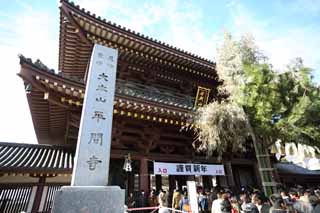 photo,material,free,landscape,picture,stock photo,Creative Commons,The Kawasakidaishi Daisen gate, New Year's visit to a Shinto shrine, worshiper, Great congestion, approach to a shrine