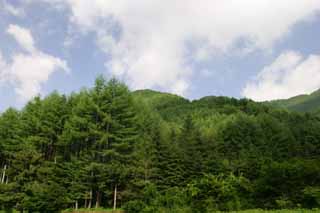 fotografia, materiale, libero il panorama, dipinga, fotografia di scorta,Passi l'estate montagne e nubi, montagna, nube, cielo blu, boschetto