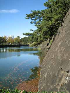 Foto, materiell, befreit, Landschaft, Bild, hat Foto auf Lager,Edo-jo Burg, Ishigaki, Wassergraben, Kiefer, Drngen-Steine