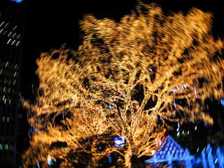 photo,material,free,landscape,picture,stock photo,Creative Commons,Illuminations, Illumination, , tree, I am colorful