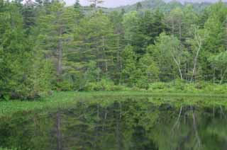 Foto, materiell, befreit, Landschaft, Bild, hat Foto auf Lager,Ushidome-Teich, Berg, Wolke, Teich, Hain