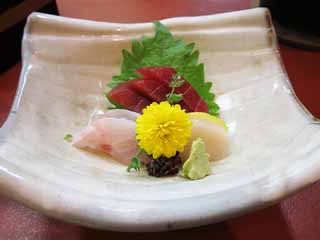 , , , , ,  .,Sashimi,  , chrysanthemum, tuna, scallop   