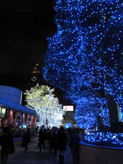 photo,material,free,landscape,picture,stock photo,Creative Commons,A southern terrace, Blue, An LED light, I am romantic, I light it up