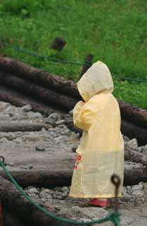 Foto, materiell, befreit, Landschaft, Bild, hat Foto auf Lager,Wenig Pilger, Kind, Regenmantel, Gebirgspfad, Gebet