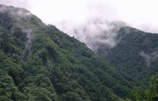 fotografia, materiale, libero il panorama, dipinga, fotografia di scorta,Montagne di estate nebbiose, montagna, nebbia, , 