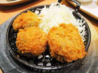 , , , , ,  .,fried  cutlet, , , , 