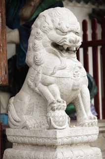 fotografia, materiale, libero il panorama, dipinga, fotografia di scorta,Guang Xiao paio di tempio di pietra cani custode, Chaitya, Castello della pecora dell'inesistenza, ultimo Takashi Arimitsu, , 