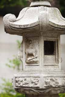 fotografia, material, livra, ajardine, imagine, proveja fotografia,Guang Xiao templo pedra lanterna cesta, Chaitya, Castelo de ovelha de inexistncia, ltimo Takashi Arimitsu, , 